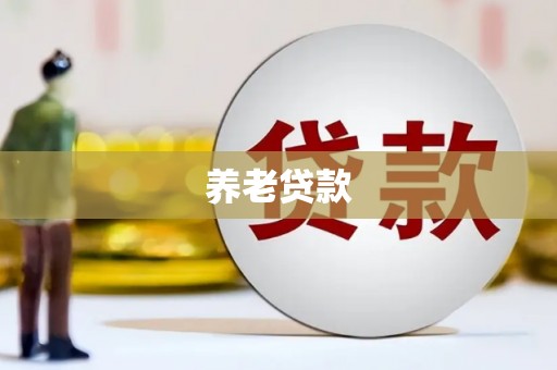 板芙养老贷款