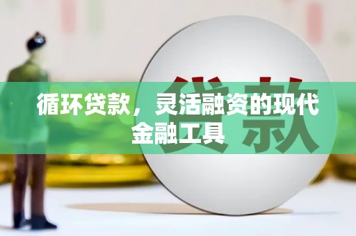 板芙循环贷款，灵活融资的现代金融工具