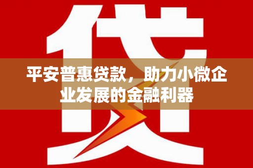 板芙平安普惠贷款，助力小微企业发展的金融利器