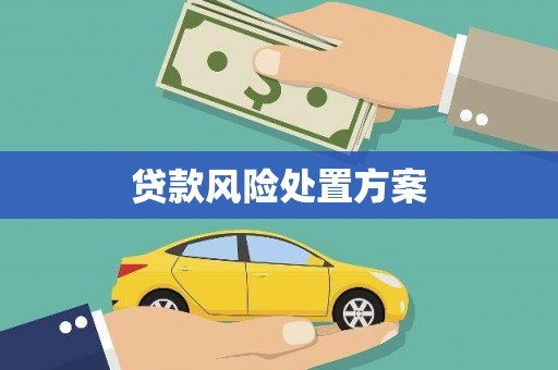 板芙贷款风险处置方案