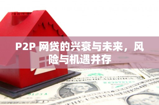 板芙P2P 网贷的兴衰与未来，风险与机遇并存
