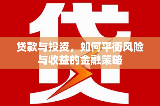 板芙贷款与投资，如何平衡风险与收益的金融策略