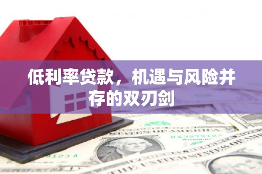 板芙低利率贷款，机遇与风险并存的双刃剑