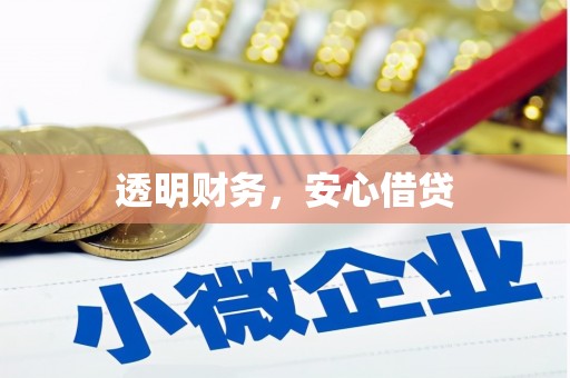 板芙透明财务，安心借贷