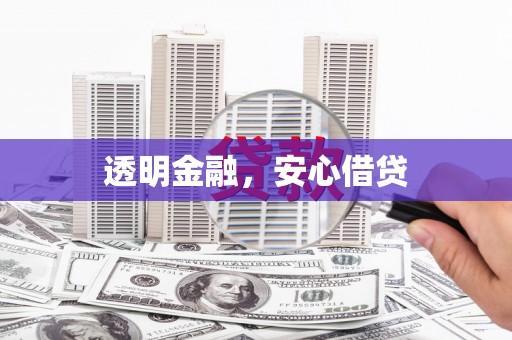 板芙透明金融，安心借贷