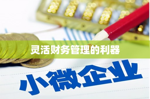 板芙灵活财务管理的利器