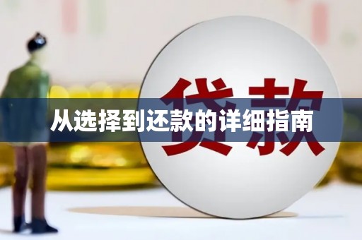 板芙从选择到还款的详细指南
