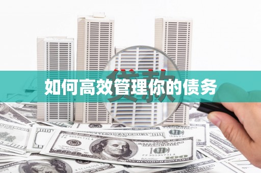 板芙如何高效管理你的债务