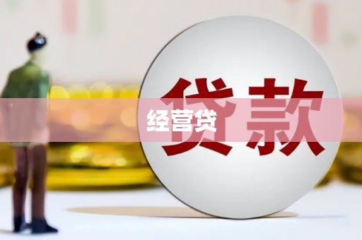 板芙经营贷