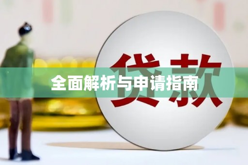 板芙全面解析与申请指南