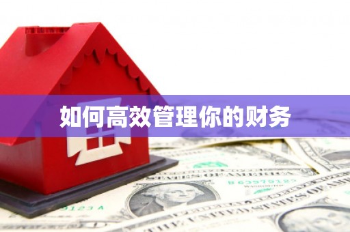 板芙如何高效管理你的财务