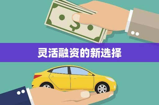 板芙灵活融资的新选择