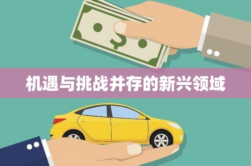 板芙机遇与挑战并存的新兴领域