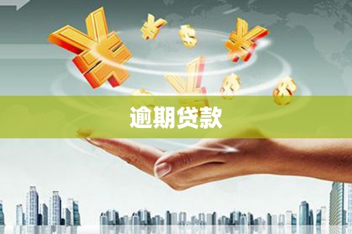 板芙逾期贷款