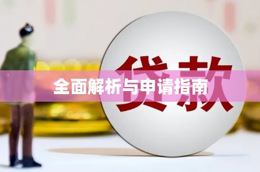 板芙全面解析与申请指南